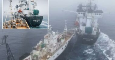 Activistâs group Paul Watson accused of âterrorist attackâ in collision with Antarctic krill trawler